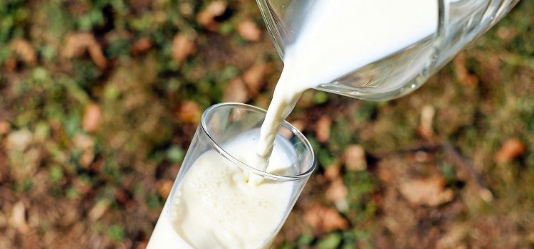 Как правильно выбирать молочные продукты, советы дают санитарные врачи.