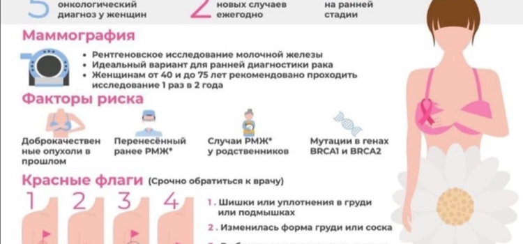 Начало октября в   Вологодской области объявлено периодом  профилактики рака молочной железы